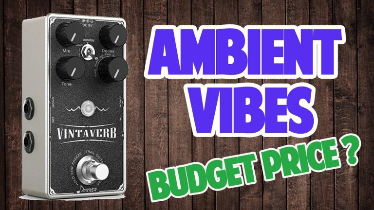 Donner Vintaverb Review-Is It Worth The Money?